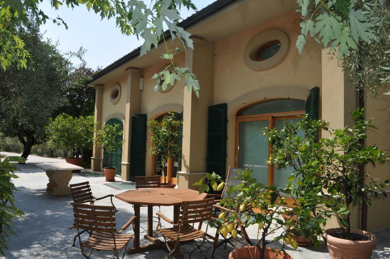 Agriturismo La Limonaia Villa Mondavio Dış mekan fotoğraf