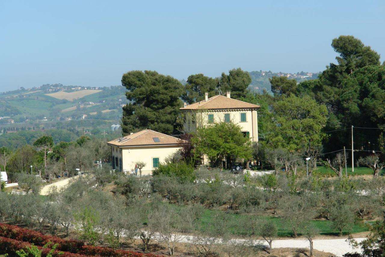 Agriturismo La Limonaia Villa Mondavio Dış mekan fotoğraf