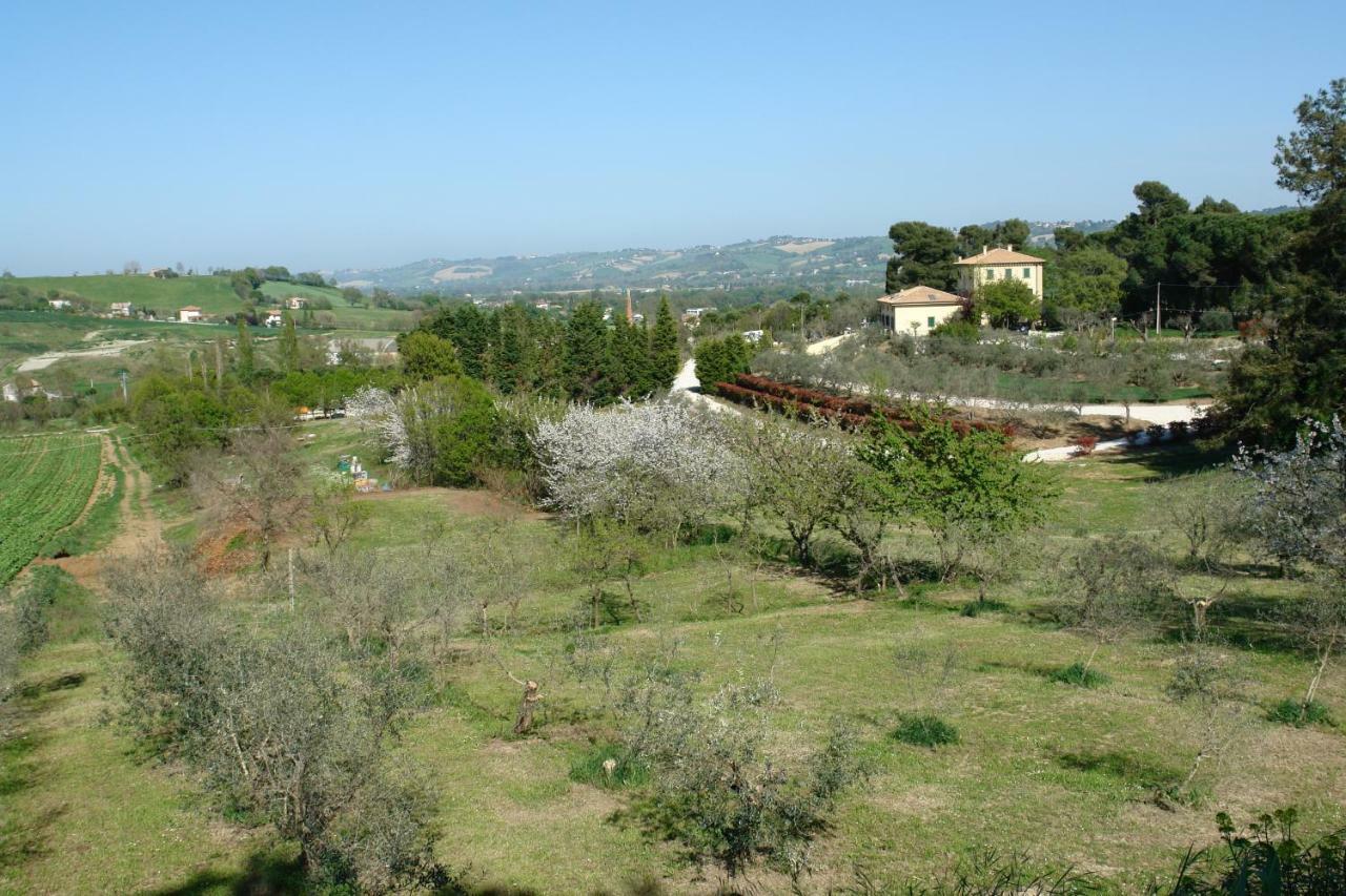 Agriturismo La Limonaia Villa Mondavio Dış mekan fotoğraf